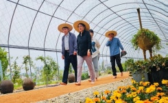 홍성군, 홍주성천년여행길에 황톳길 조성