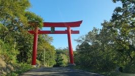 [정승열의 힐링여행 2] 217. 와타즈미 신사(和多都美神社)
