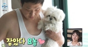 꽃분이 아빠 배우 구성환, 강동구 홍보대사 위촉