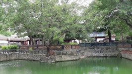 [정승열의 힐링여행 2] 236. 대만 임가화원