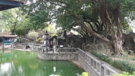 [정승열의 힐링여행 2] 236. 대만 임가화원