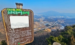 [대전 초록버스 여행] EP3. 대전별서에서 하룻밤, 그리고 오도산·보문산