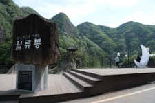 영동군, 관광 활성화 성과 ··· 관광객 100만 명 돌파 눈앞