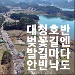 [대전 초록버스 여행] EP7. 봄, 대청호, 벚꽃의 기억