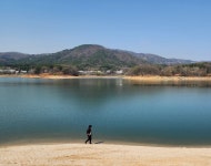 [대전 초록버스 여행] EP7. 봄, 대청호, 벚꽃의 기억