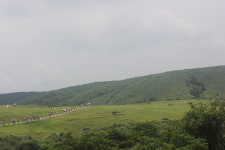 [정승열의 힐링여행2] 252. 양명산국립공원