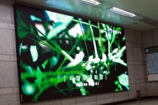 교통공사 대전역 인근에 미디어월 설치