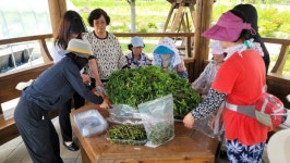 충주시, 농촌 어르신 소일거리 활력