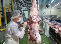 믿고 먹는 무항생제 안심한우 하눌소 맛도 풍미도 진하네