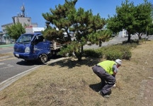 금산군, 공영주차장 수목 정비 등 환경정비