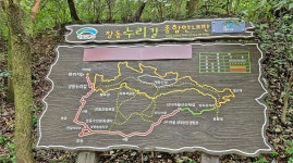 [대전 초록버스 여행] EP14. 버스 내려 숲길 15분 … 이현동에서 계족산 황톳길 가는 길 (with 71번)