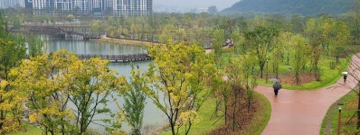 [사진메모 : 오늘, 여기] 갑천생태호수공원의 아침