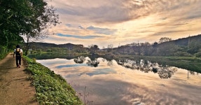 [대전 초록버스 여행] EP15.  갑천 트레킹의 참맛 : 증촌마을부터 장평보까지