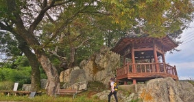 [대전 초록버스 여행] EP15.  갑천 트레킹의 참맛 : 증촌마을부터 장평보까지