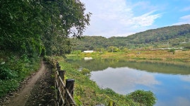 [대전 초록버스 여행] EP15.  갑천 트레킹의 참맛 : 증촌마을부터 장평보까지