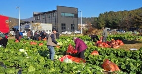 대전시 공영도시농업농장 수확물 기부