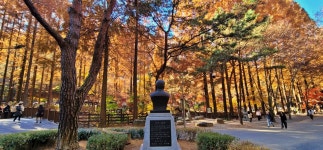 [대전 초록버스 여행] EP17. 계절의 경계를 만나다, 노루벌 장태산 계족산 상소동산림욕장