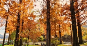 [대전 초록버스 여행] EP17. 계절의 경계를 만나다, 노루벌 장태산 계족산 상소동산림욕장