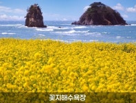 눈부셔라, 충남의 봄