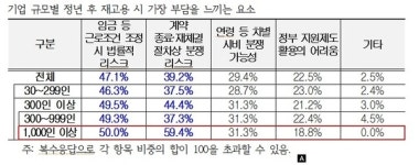 일률적 법정 정년 연장, 부작용 크다