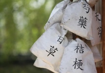 “코로나바이러스, 믿을 건 개인 면역력”…한방(韓方)이 뜬다