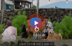 조용한 3파전 중인 한국 영화! <대외비>  VS  <카운트>  VS <멍뭉이>