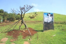 제주 우도, 소가 누워 해안 절경을 바라보다