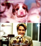 웅자 모습에 온 국민이 눈물바람… 도대체 무슨 일?