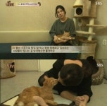 배다해 고양이 거짓 입양 논란…진실은?