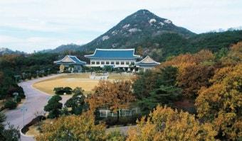 청와대 '드론 테러 무방비', 작년 무단진입 37건