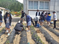 폐교 위기의 작은 시골학교로 전학생이 몰리는 이유