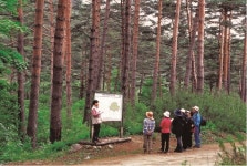  ‘울진금강송 산지농업’, 국가 중요농업유산 7호로 지정돼 