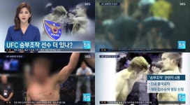  UFC 승부조작, 팬들 누구냐 밝혀라부터 먹칠하지마 
