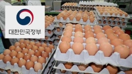  살충제 계란, 달걀 작년에 국감서 밝혔는데 이제서 뒷북 논란과 네티즌 반응 
