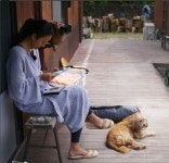  효리네 민박, 촬영 현장 사진 공개...소길리에서 만나요 