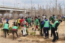  부산시, 31일 도시열섬 줄이기 시민나무심기 행사 