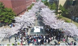  부경대, ‘청춘, 피었다’ 핑크캠퍼스 축제 