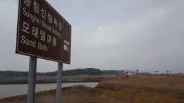  [단독] 비소 오염 토지서 산림욕?…서천 송림숲, 중금속 노출 위험 