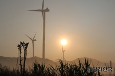  공염불된 ‘1MW 이하 신재생 전력망 접속보장’…태양광-풍력 ‘한탄’ 