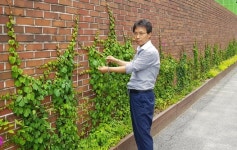  [인터뷰]도시 벽면 녹화는 미세먼지 ·열섬화·온실가스·도시민 스트레스 줄이는 1석 4조 정책 