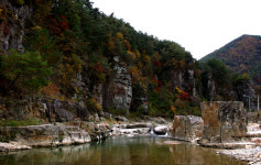  [주간한국][여행] 정선 몰운대 