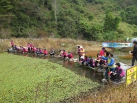  영양군, 반딧불이 유충방사 및 반딧불이천문대 무료관람 행사 개최 