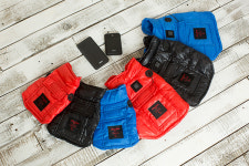  주식회사 천하지엘씨, 강아지 발열 패딩조끼 국내 첫 런칭! 