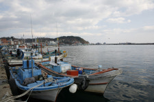  [주간한국] [여행] 고성 화진포 