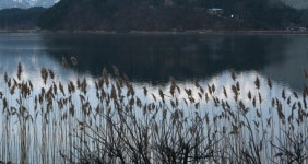  [주간한국] [여행] 고성 화진포 