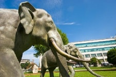  동국대 제19대 총장 누가되나? …총장 선출 좌우할 26명 대표위원 최종 확정 