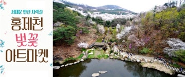  서울벚꽃축제 베스트 7을 꼽아보니 