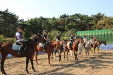  김해시, 초·중·고 학생승마체험 사업 실시 