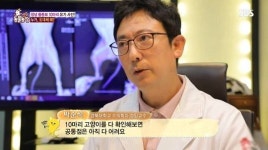 동물농장 10마리 품종묘 유기사건 죽든 살든 난 몰라 하고 버린 것