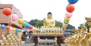 제보자들 호국사, 노잣돈 5천만원 갈취?…사찰 측 모르는 일